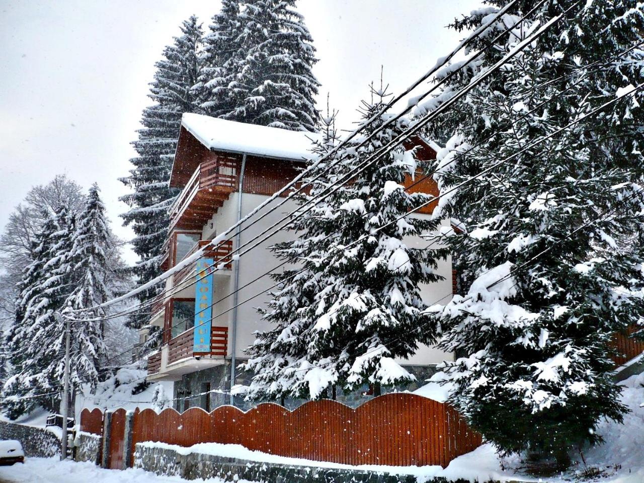 Pension Casa Soarelui Sinaia Dış mekan fotoğraf